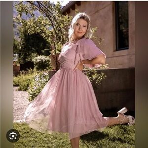 BNWT Ivy City Co Tara Dress in Blush XL